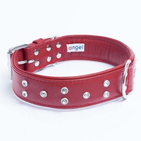 Athens Dog Collar