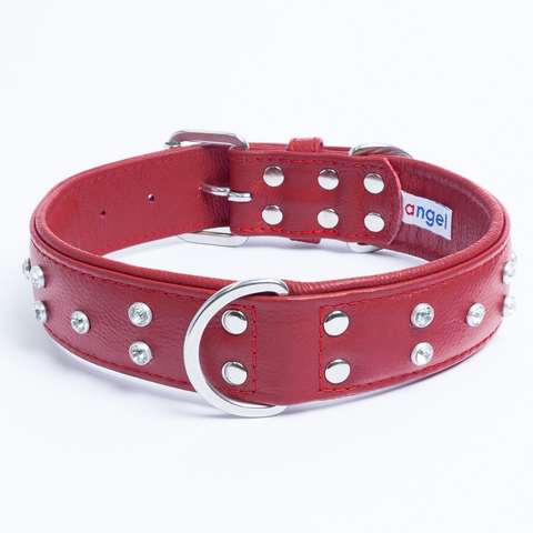 Athens Dog Collar