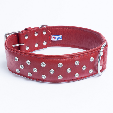 Athens Dog Collar