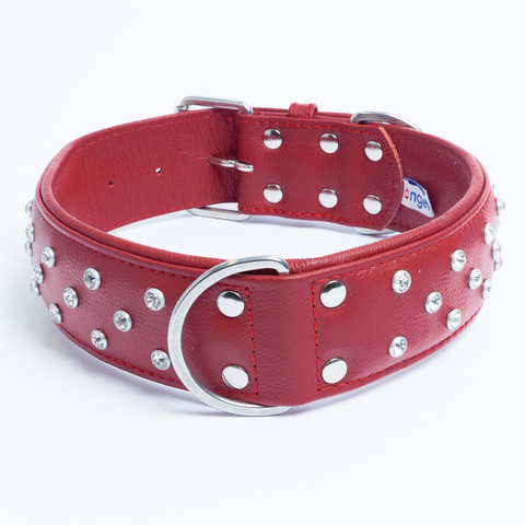 Athens Dog Collar