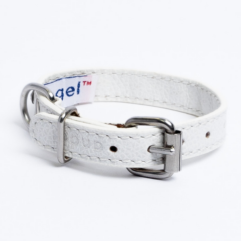 Athens Dog Collar