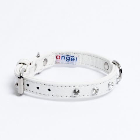 Athens Dog Collar