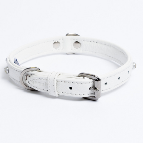 Athens Dog Collar