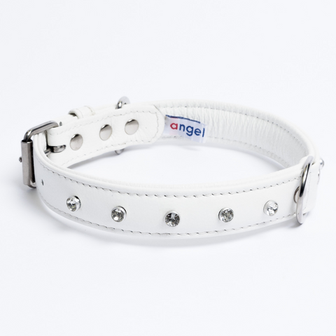 Athens Dog Collar