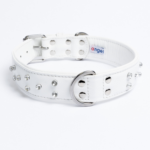 Athens Dog Collar