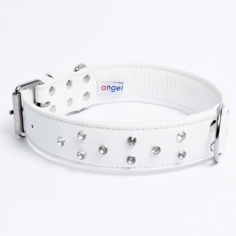 Athens Dog Collar