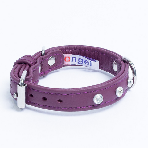 Athens Dog Collar