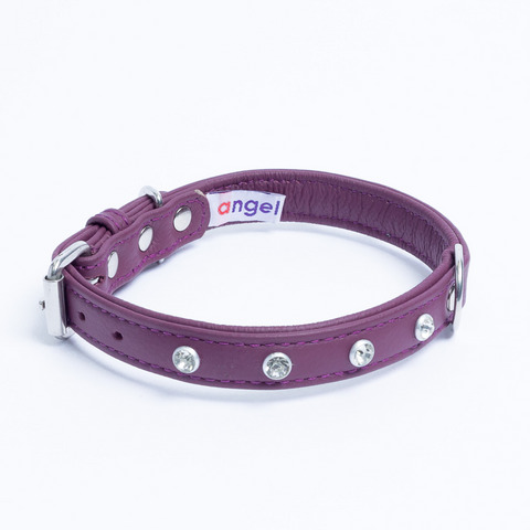 Athens Dog Collar