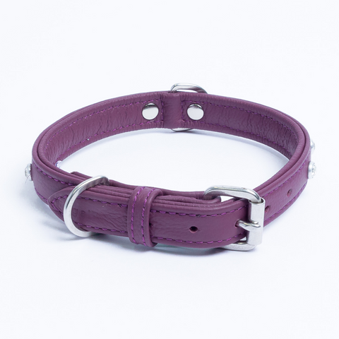 Athens Dog Collar