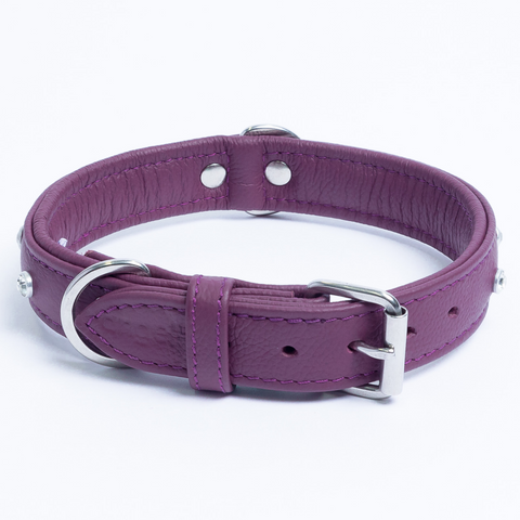 Athens Dog Collar