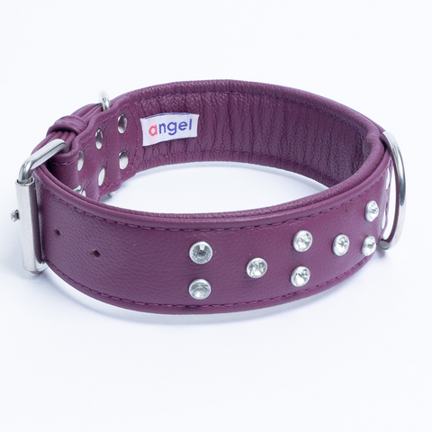 Athens Dog Collar