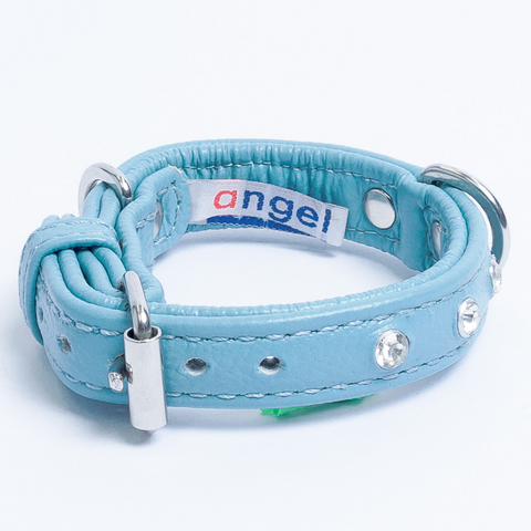 Athens Dog Collar