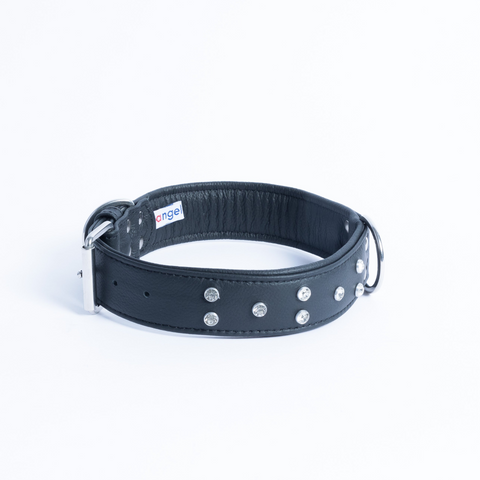 Athens Dog Collar