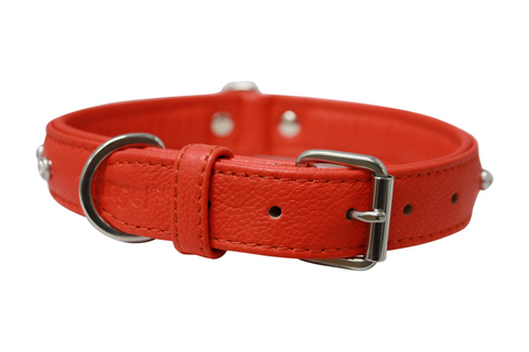 Athens Dog Collar