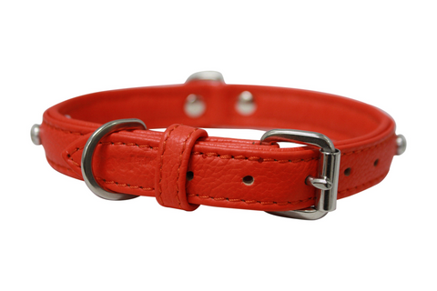 Athens Dog Collar