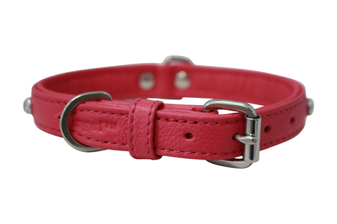 Athens Dog Collar