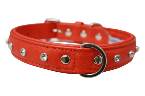 Athens Dog Collar