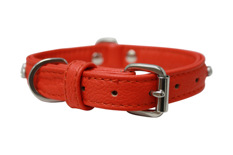 Athens Dog Collar