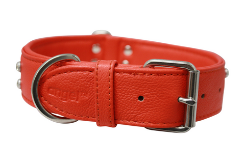 Athens Dog Collar