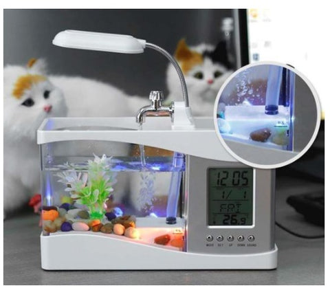 LED Small Aquarium