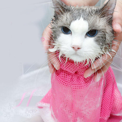 Ultimate Cat Grooming And Bathing Solution-4