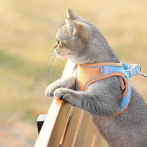 Stylish Cat Traction Vest: A Fashionable And Safe Way To Walk Your Cat-0