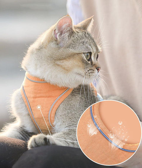 Stylish Cat Traction Vest: A Fashionable And Safe Way To Walk Your Cat-4