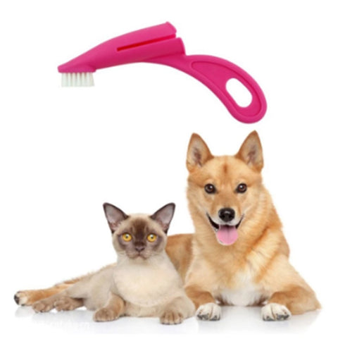 Pet Toothbrushes for Dogs & Cats