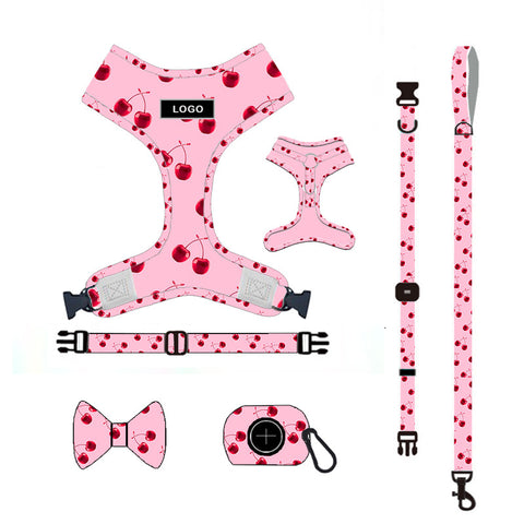 Dog Leash Set in Pink