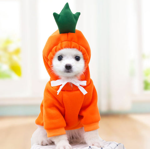 Fruit-Themed Winter Fleece Hoodie for Small Dogs and Cats