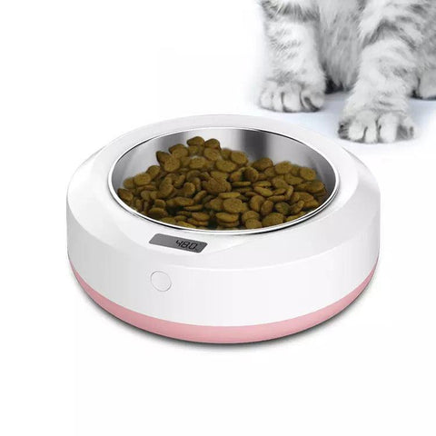 Petsmartfeeder-1