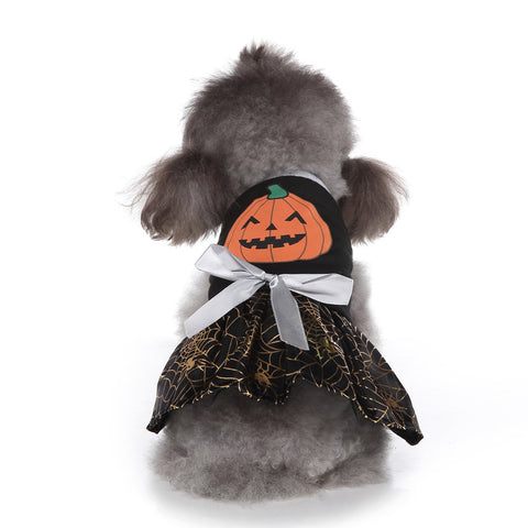 Halloween Costume for Dogs - Spider Web Ghost