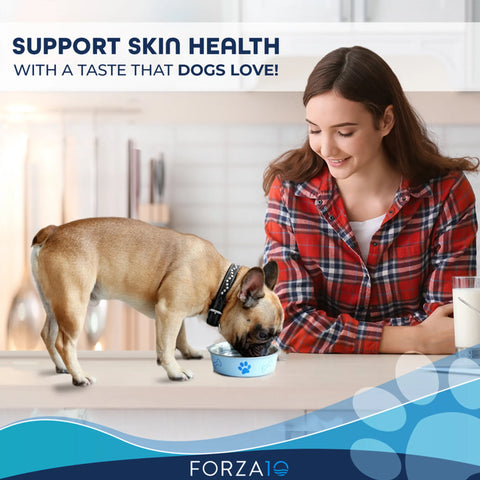 Forza10 Active Dermo Dry Dog Food