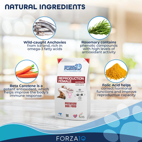 Forza10 Active Reproductive Female Diet Dry Dog Food