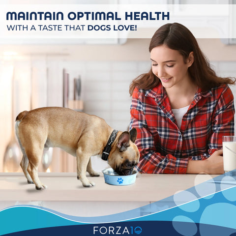 Forza10 Maintenance Evolution Fish Dry Dog Food