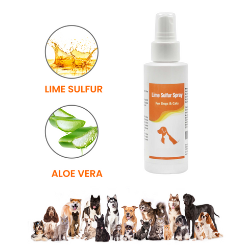 Lime Sulfur Pet Spray for dry itchy skin