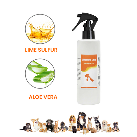 Lime Sulfur Pet Spray for dry itchy skin