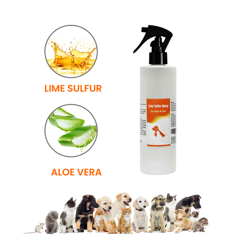 Lime Sulfur Pet Spray for dry itchy skin