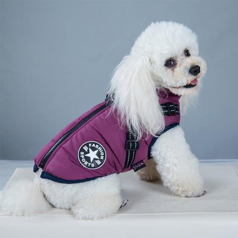 Pet Fashionista Dog Vest: Stylish And Trendy Pet Clothing For All Occasions-6