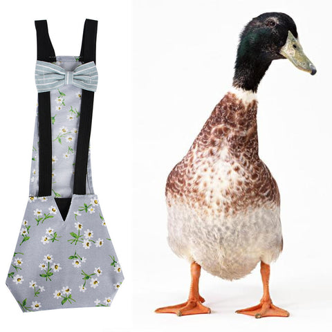 Goose And Duck Pull Diapers And Pet Cleaning Supplies