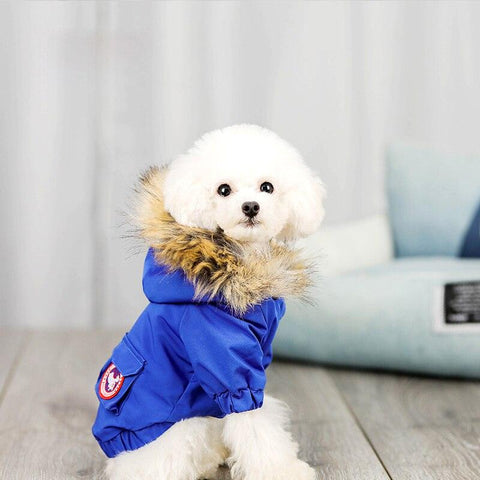 Warm And Cozy Pet Dog Winter Apparel-0