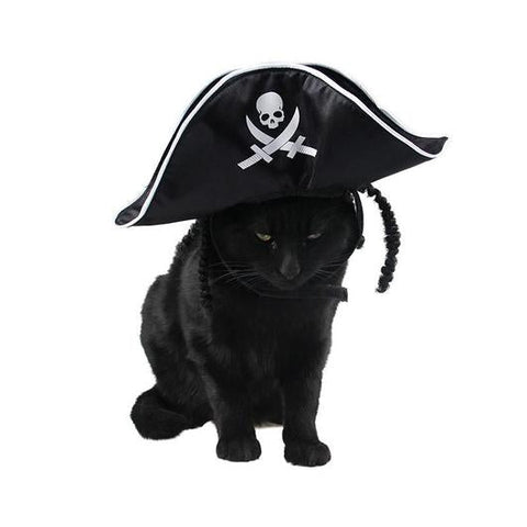 Funny Cats Halloween Pirate Hat-1