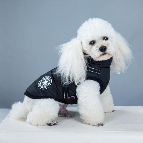 Pet Fashionista Dog Vest: Stylish And Trendy Pet Clothing For All Occasions-0