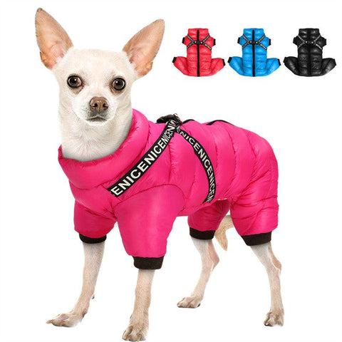 Cozy Winter Pet Apparel: Stylish Clothes For Your Furry Friend-0