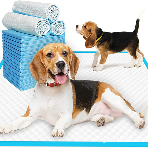 Disposable & Leak-Proof Pet Training Pee Pads