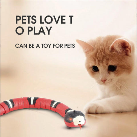 Smart Sensing Induction Snake Pet Toy with USB for charging