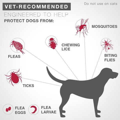 Advantage Ii Single Dose Medium Dog Teal