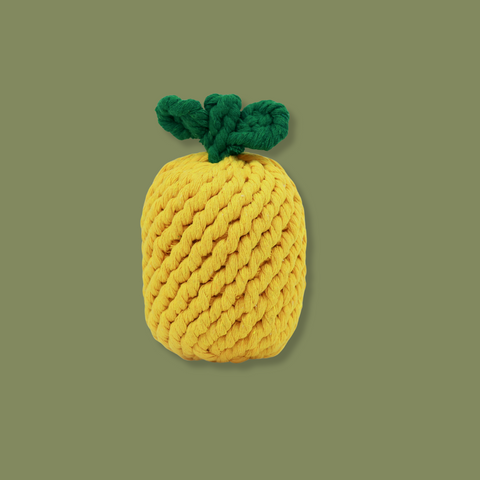 Knotty Large Pineapple Rope Toy-1