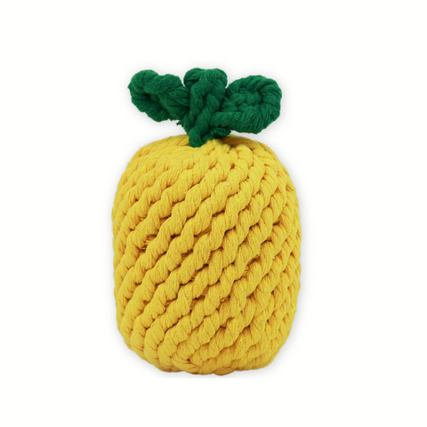 Knotty Large Pineapple Rope Toy-0