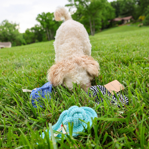 Slipper Rope Toys-2